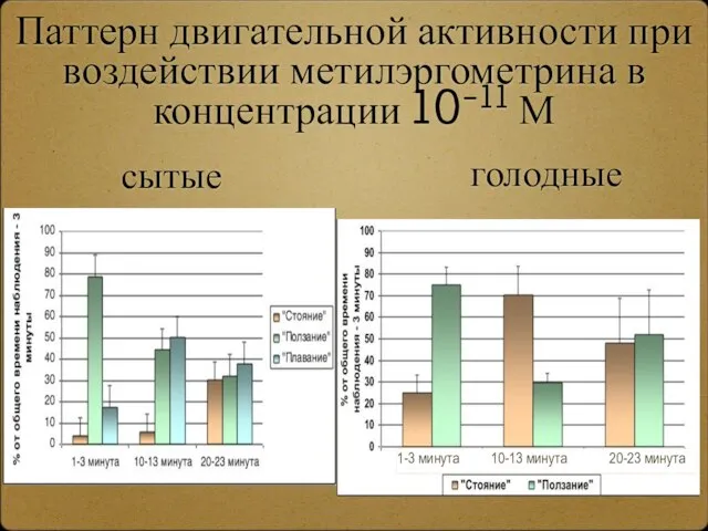 Паттерн двигательной активности при воздействии метилэргометрина в концентрации 10-11 М сытые