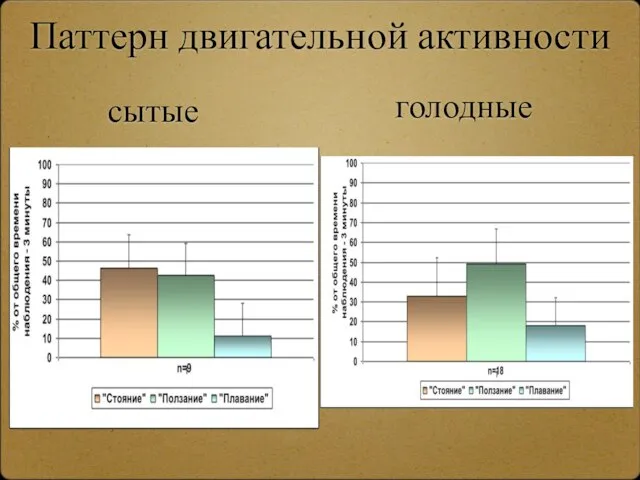 Паттерн двигательной активности