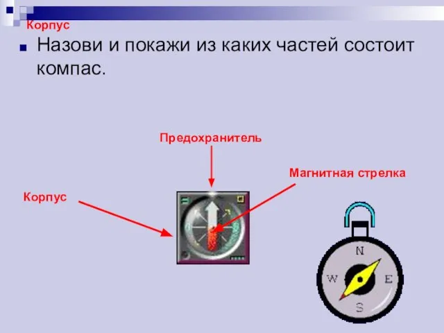 Корпус Назови и покажи из каких частей состоит компас. Корпус Магнитная стрелка Предохранитель