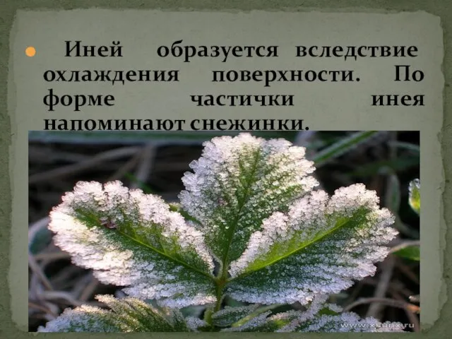 Иней образуется вследствие охлаждения поверхности. По форме частички инея напоминают снежинки.