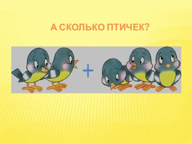 А СКОЛЬКО ПТИЧЕК?