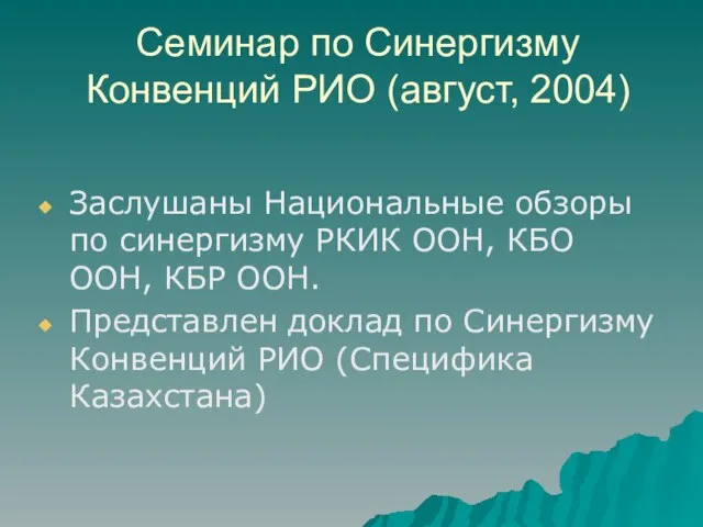 Семинар по Синергизму Конвенций РИО (август, 2004) Заслушаны Национальные обзоры по синергизму