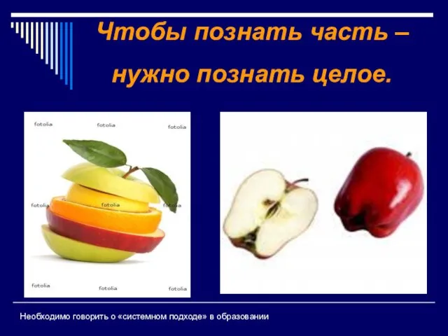 Необходимо говорить о «системном подходе» в образовании Чтобы познать часть – нужно познать целое.