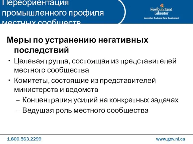 Меры по устранению негативных последствий Целевая группа, состоящая из представителей местного сообщества