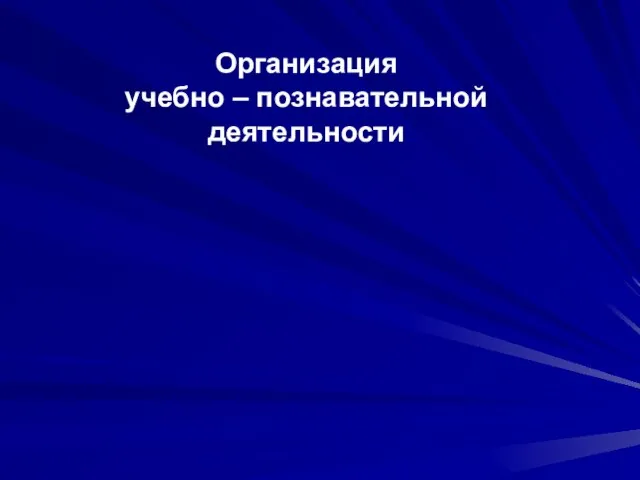 Организация учебно – познавательной деятельности