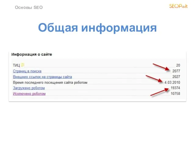 Общая информация Основы SEO