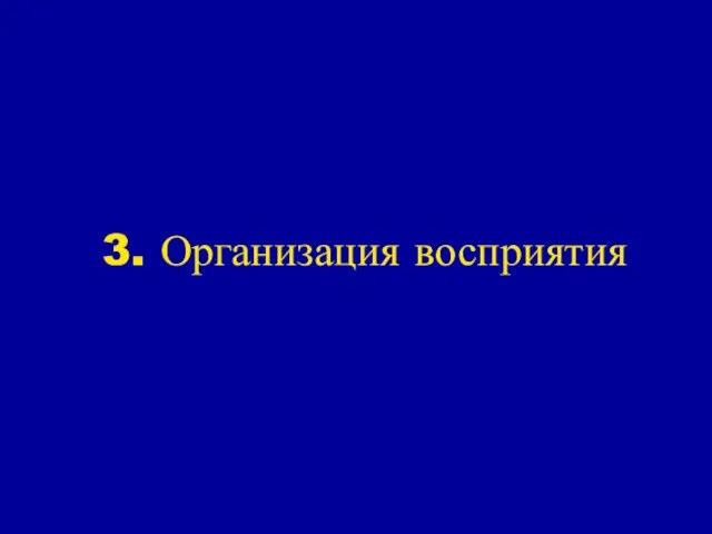 3. Организация восприятия