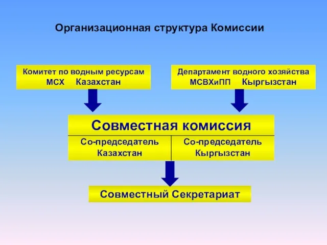 Комитет по водным ресурсам МСХ Казахстан Департамент водного хозяйства МСВХиПП Кыргызстан Совместный Секретариат Организационная структура Комиссии