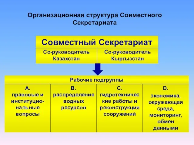 Организационная структура Совместного Секретариата