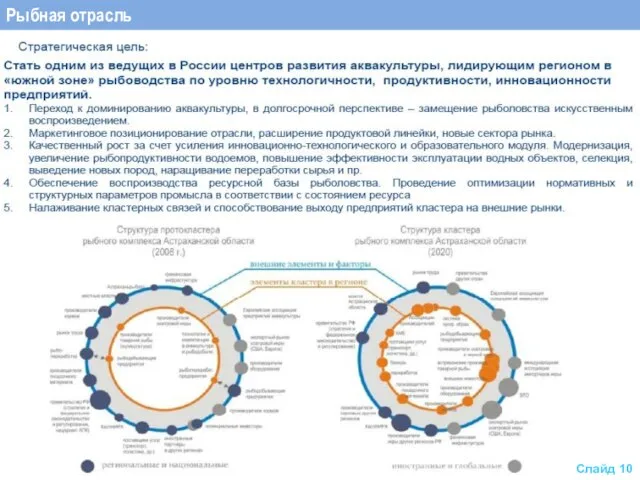 Рыбная отрасль Слайд 10