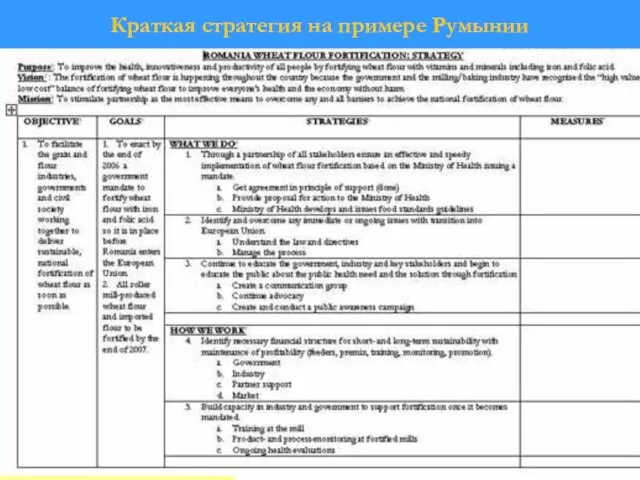 ONE PAGE STRATEGY Краткая стратегия: Румыния Краткая стратегия на примере Румынии