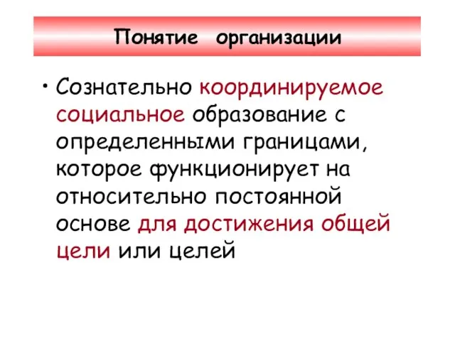 Понятие организации Сознательно координируемое социальное образование с определенными границами, которое функционирует на