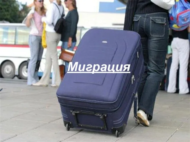 Миграция