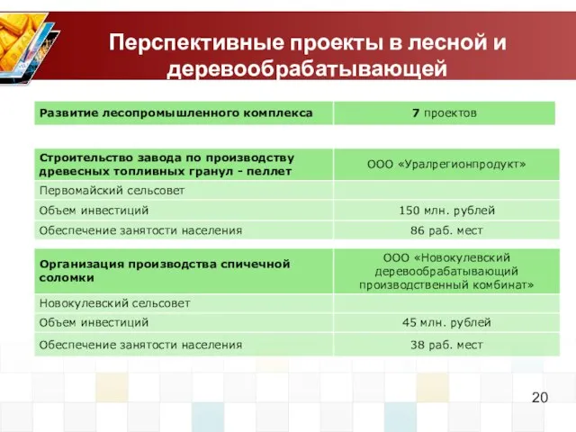 Перспективные проекты в лесной и деревообрабатывающей промышленности