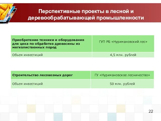 Перспективные проекты в лесной и деревообрабатывающей промышленности