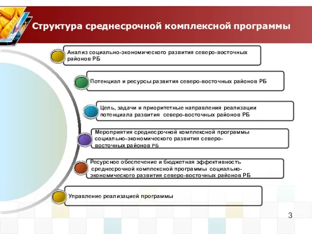 Структура среднесрочной комплексной программы