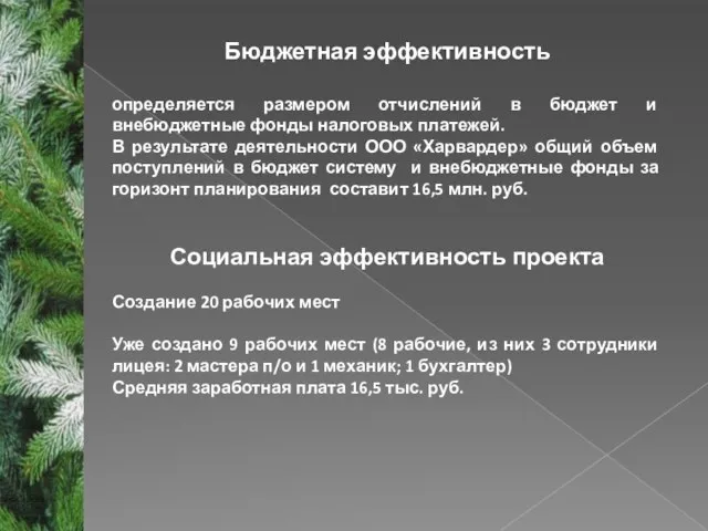 Бюджетная эффективность определяется размером отчислений в бюджет и внебюджетные фонды налоговых платежей.