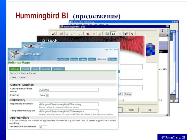 Hummingbird BI (продолжение)