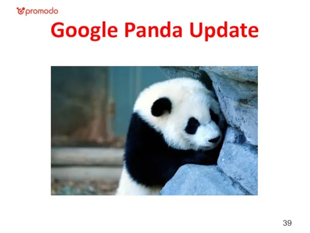 Google Panda Update