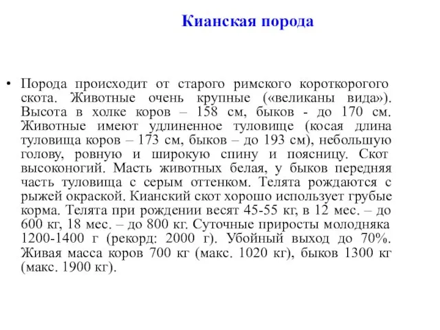 Кианская порода Порода происходит от старого римского короткорогого скота. Животные очень крупные