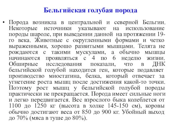 Бельгийская голубая порода Порода возникла в центральной и северной Бельгии. Некоторые источники