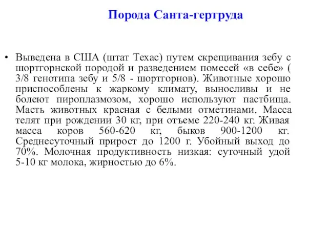 Порода Санта-гертруда Выведена в США (штат Техас) путем скрещивания зебу с шортгорнской