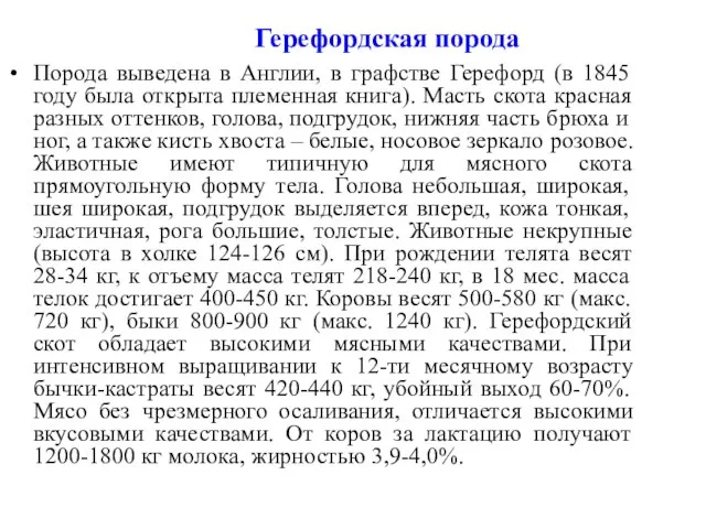 Герефордская порода Порода выведена в Англии, в графстве Герефорд (в 1845 году