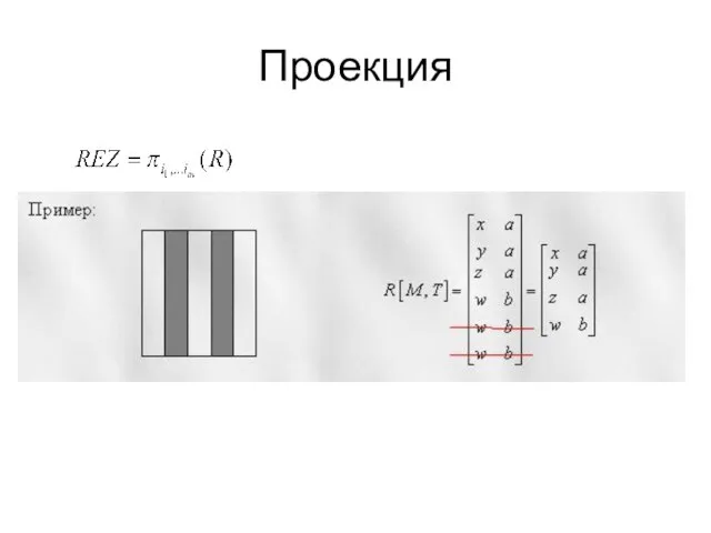 Проекция