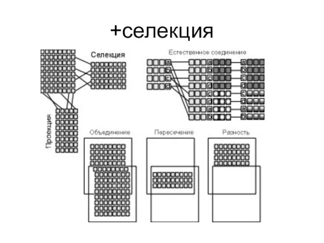 +селекция