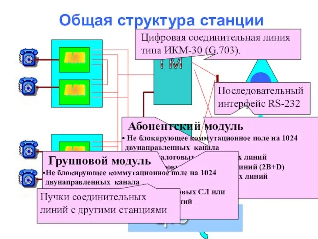 Общая структура станции Абонентский модуль Не блокирующее коммутационное поле на 1024 двунаправленных