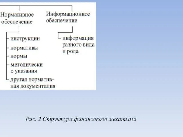 Рис. 2 Структура финансового механизма