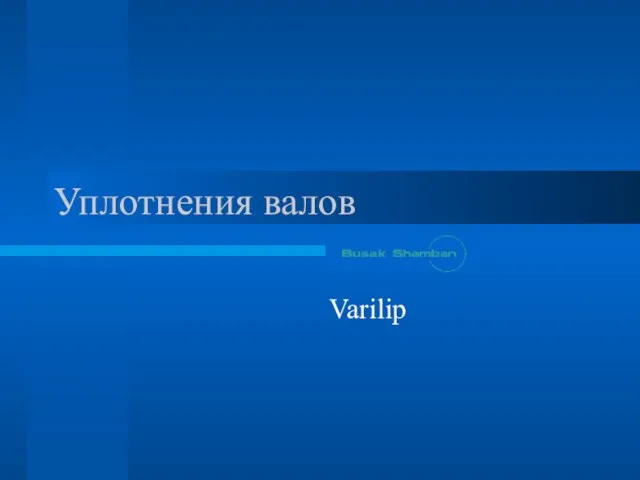 Уплотнения валов Varilip