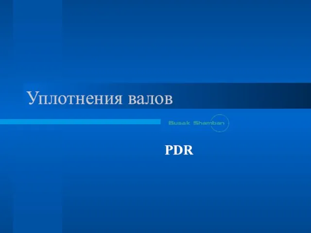 Уплотнения валов PDR