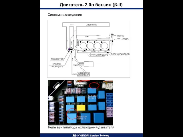 Система охлаждения Двигатель 2.0л бензин (β-II) Реле вентилятора охлаждения двигателя