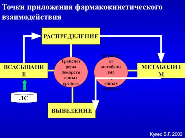 ВСАСЫВАНИЕ РАСПРЕДЕЛЕНИЕ МЕТАБОЛИЗМ ВЫВЕДЕНИЕ Транспотреры лекарственных средств Ферменты метаболизма лекарственных средств ЛС