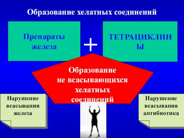 Образование хелатных соединений Препараты железа ТЕТРАЦИКЛИНЫ Образование не всасывающихся хелатных соединений +