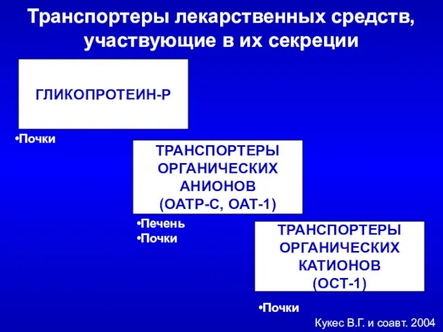 Транспортеры лекарственных средств, участвующие в их секреции ГЛИКОПРОТЕИН-Р ТРАНСПОРТЕРЫ ОРГАНИЧЕСКИХ АНИОНОВ (ОАТР-С,