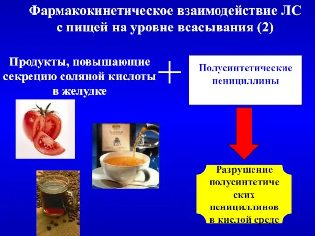 Фармакокинетическое взаимодействие ЛС с пищей на уровне всасывания (2) Продукты, повышающие секрецию