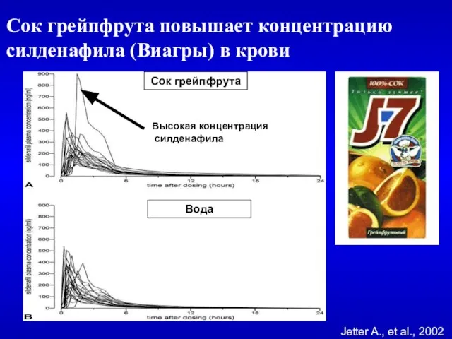 Сок грейпфрута повышает концентрацию силденафила (Виагры) в крови Jetter A., et al.,