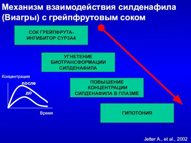 Механизм взаимодействия силденафила (Виагры) с грейпфрутовым соком СОК ГРЕЙПФРУТА- ИНГИБИТОР CYP3A4 УГНЕТЕНИЕ