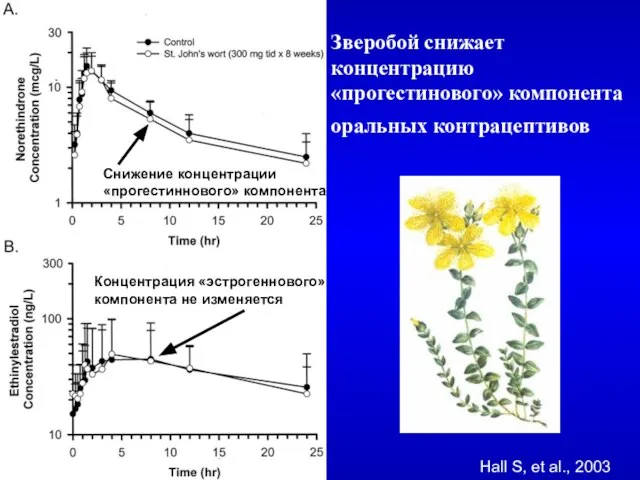 Зверобой снижает концентрацию «прогестинового» компонента оральных контрацептивов Hall S, et al., 2003