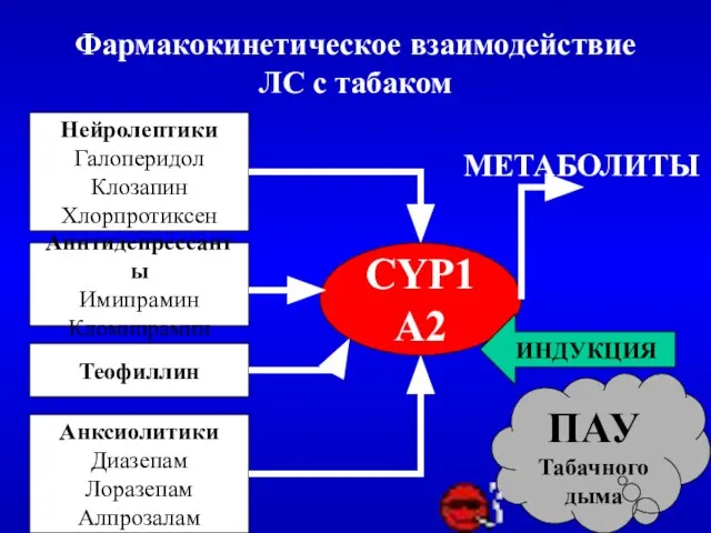 Фармакокинетическое взаимодействие ЛС с табаком Нейролептики Галоперидол Клозапин Хлорпротиксен Анксиолитики Диазепам Лоразепам