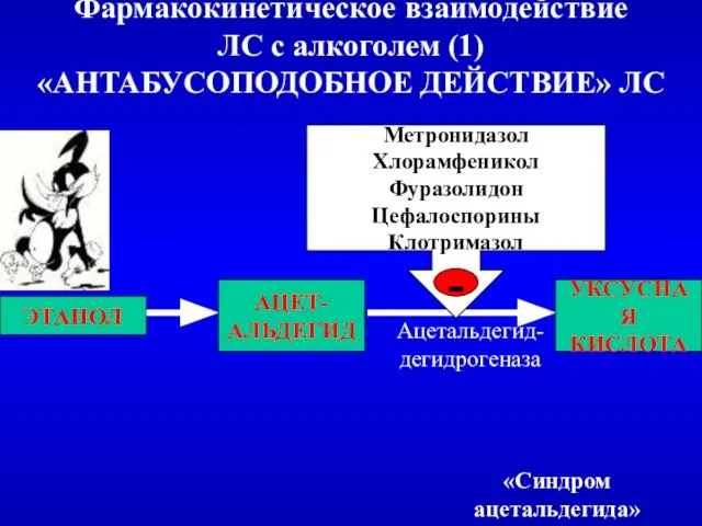 Фармакокинетическое взаимодействие ЛС с алкоголем (1) «АНТАБУСОПОДОБНОЕ ДЕЙСТВИЕ» ЛС ЭТАНОЛ АЦЕТ- АЛЬДЕГИД