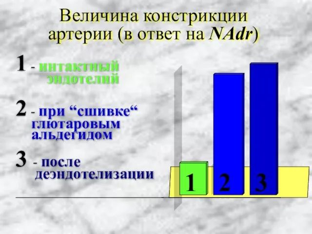 Величина констрикции артерии (в ответ на NAdr) 1 2 3 1 1