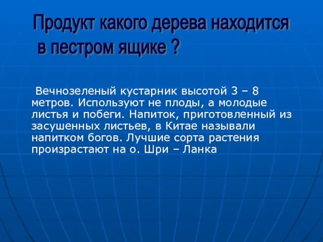 Вечнозеленый кустарник высотой 3 – 8 метров. Используют не плоды, а молодые