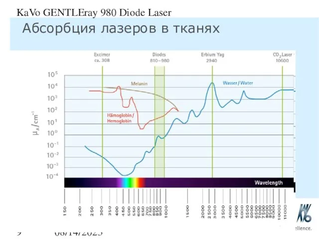 08/14/2023 KaVo GENTLEray 980 Diode Laser Абсорбция лазеров в тканях