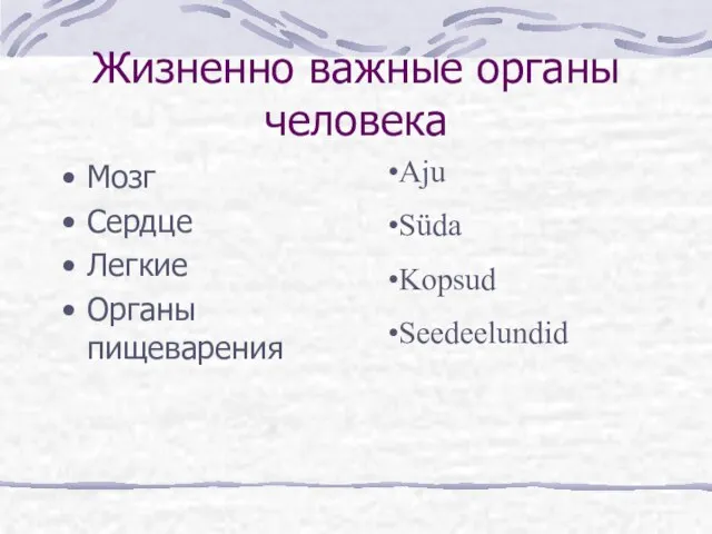 Жизненно важные органы человека Мозг Сердце Легкие Органы пищеварения Aju Süda Kopsud Seedeelundid