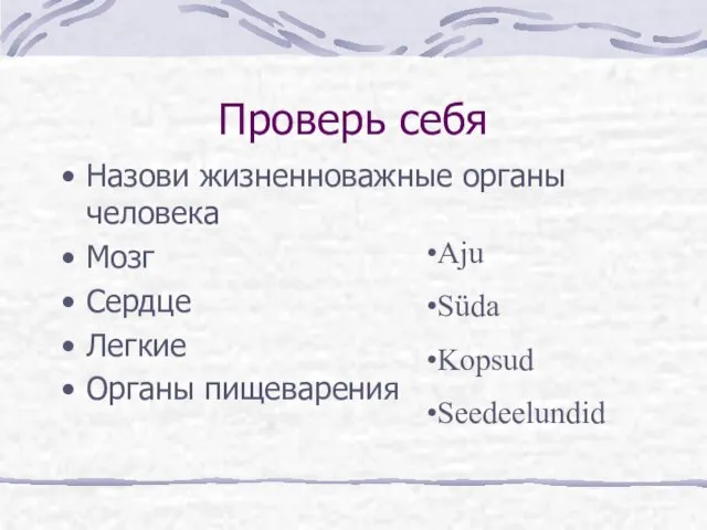 Проверь себя Назови жизненноважные органы человека Мозг Сердце Легкие Органы пищеварения Aju Süda Kopsud Seedeelundid