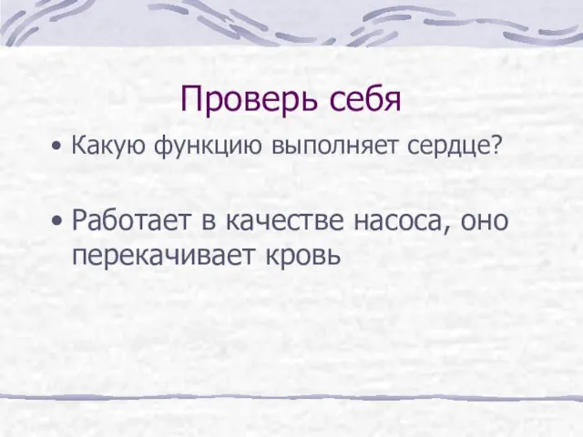 Проверь себя Какую функцию выполняет сердце? Работает в качестве насоса, оно перекачивает кровь