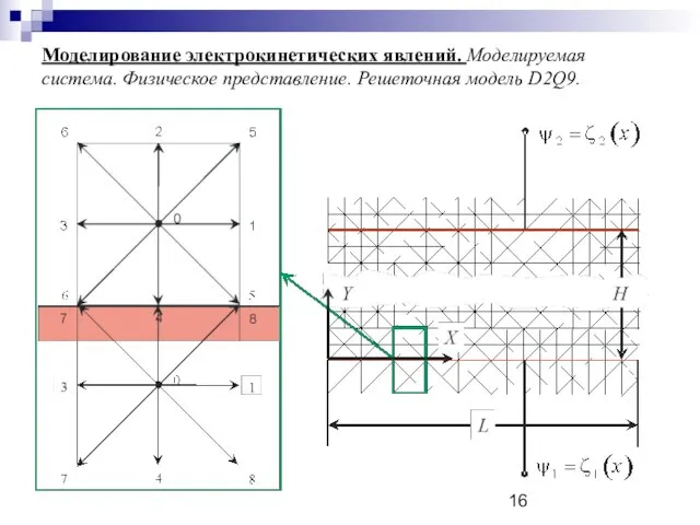 Моделирование электрокинетических явлений. Моделируемая система. Физическое представление. Решеточная модель D2Q9.